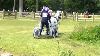 29 Sarah Baverstock GBR FEI Para Equestrian Sandringham Horse Driving Trials 2013 Marathon O1 [upl. by Rusticus588]