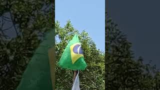 BRASIL sobrevivência bandeiradobrasil youtubeshorts [upl. by Hax794]