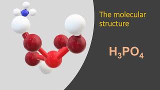 PRENEUTRALIZER for Monoammonium Phosphate Manufacturing [upl. by Werdnael]