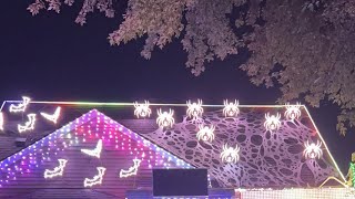 Live at the Bostick family Light show [upl. by Folsom83]