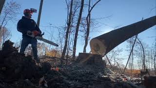 Logging Finished the 40 acre clear cut [upl. by Aymik]