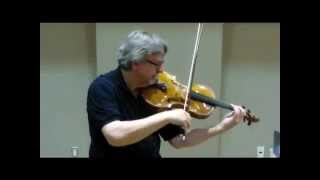 2014 TMEA Viola Excerpt 1 [upl. by Dahs864]