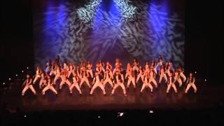 Spectacle Studio Attitude 2014  Show Ado3 Ragga Emilie Gomez [upl. by Neelhtac993]