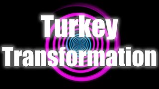 Hypnovember Day 28 Turkey Transformation [upl. by Ainavi875]