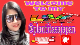 Plantita sa JAPAN is live Hello Everyone 🥰 [upl. by Samid]