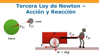 Tercera Ley de Newton  Las Leyes de Newton [upl. by Orion387]