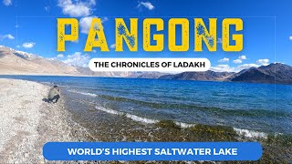 Pangong Lake Ladakh  Pangong Lake to Leh via Chang La Pass  The Chronicles of Ladakh  Ep 43 [upl. by Gasperoni924]