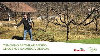 Osnovno spomladansko gnojenje sadnega drevja [upl. by Amsden123]