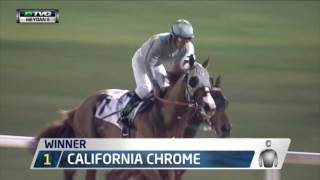 California Chrome Dazzles in Dubai [upl. by Bullion50]