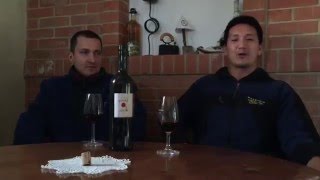 Croatian Wine Interview w Domagoj Buhać [upl. by Suivatnod443]