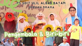 DRAMA PENGEMBALA amp BIRIBIRI UPINIPIN  KELAS 5C P5 2024 SDIT ULIL ALBAB BATAM [upl. by Ialocin]