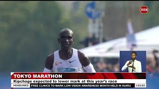 Eliud Kipchoge to reclaim title in 2024 Tokyo Marathon this Sunday [upl. by Behn]