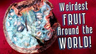 10 of The WEIRDEST Fruit From Around The World I actually tried them The Revenge [upl. by Aicenaj]