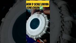 New D Scale Tabla Tone Check shortsviral tablaplayer tablahimanshu classicalmusic [upl. by Georges385]