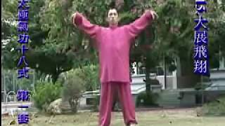 Taiji RulerCircling Hands Qigong with Microcosmic Orbit and Related Energetics [upl. by Marika599]