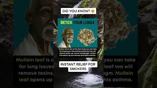 Instant lung repair for smokers [upl. by Acissaj581]