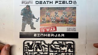 Let’s Look at Wargames Atlantic Einherjar  Plastic Miniature Review [upl. by Buell]