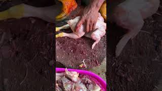 Amazing skill potong daging ayam cuttingskills chicken ayamsegar short shorts [upl. by Leboff]