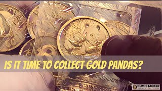 Should I start to collect gold pandas [upl. by Atiuqiram813]