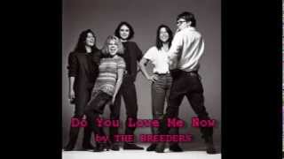 The Breeders  Do You Love Me Now with Lyrics [upl. by Naillij]