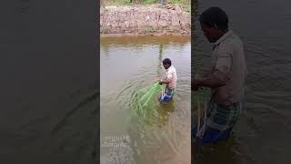 மனிதனை மிரள வச்ச மீன்கள்🤔😱Fishes that threaten humansshorts fishing [upl. by Neelik]