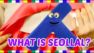 WHAT IS SEOLLAL  설날  KOREAN LUNAR NEW YEAR LEARN ABOUT KOREAN CULTURE HOLIDAY CUSTOMS amp FOOD [upl. by Ayotl366]