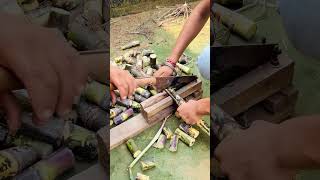 know how to do sugarcane seed cutting sugarcanecrop cutting [upl. by Larochelle]