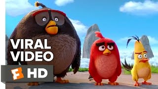 The Angry Birds Movie VIRAL VIDEO  New Years Resolutions 2016  Animated Movie HD [upl. by Netty640]