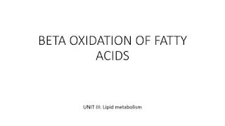 Beta oxidation of fatty acids Palmitic acid [upl. by Vedetta918]