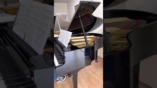 Jual Baby Grand Piano Yamaha G2 [upl. by Liw163]