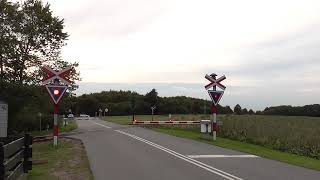 Jernbaneoverskæring GrubberholmSpoorwegovergang Level Crossing Passage a Niveau Bahnübergang [upl. by Anaihsat864]