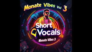 Monate Vibes Vol3 Amapiano Mix mixed by Short Vocals [upl. by Camarata]