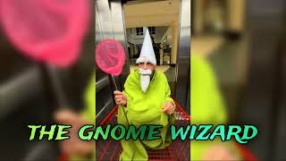 CRAWLY THE GNOME WIZARD Theme [upl. by Utley]