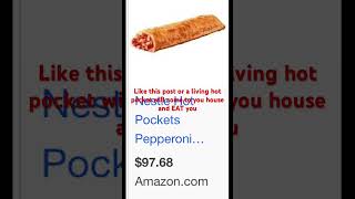 HOT POCKETS [upl. by Krik710]