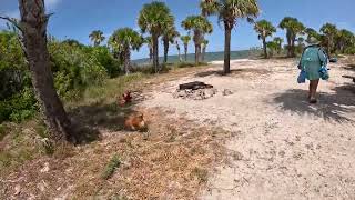 Canaveral national seashore mosquito lagoon island Hopping nationalpark jonboat [upl. by Yleak]