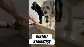 How to Replace a Laminate Flooring Stair Nose [upl. by Eicyac197]