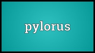 Pylorus Meaning [upl. by Valdes]