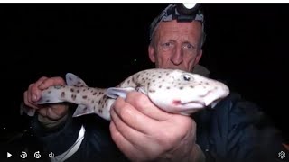 SHARK INFESTED WATERS LOL seafishinguk beachfishing bristolchannel [upl. by Anauqahc]