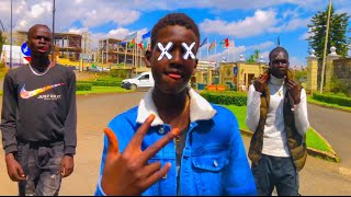 New Afro Dance Black In ParadiseADofficial Dance Videos [upl. by Aihsit]