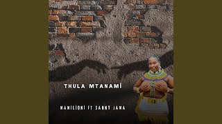 Thula Mtanami Sengikhona feat Mamilioni [upl. by Jakie199]