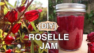 How To Make Easiest Rosella Jam Jamaican Sorrel  Plant Update [upl. by Hinman]