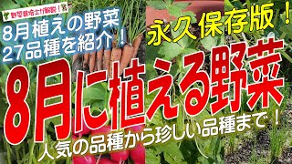 8月に植える野菜（27品種）永久保存版 [upl. by Dimitri]