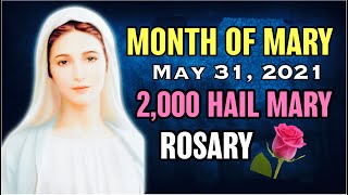 2000 Hail Marys🌹May Devotion to Mary for May 31 2021 Holy 2000 Hail Mary Rosary [upl. by Freed]