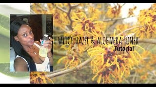 WITCH HAZEL AND ALOE VERA TONER  Tutorial [upl. by Ronym]