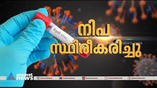 കോഴിക്കോട് നിപ തന്നെ പരിശോധനാഫലം പോസിറ്റീവ്  Nipah Virus  Kozhikode [upl. by Solegna]