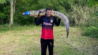 Caimán En Puerto Rico🎣🔥Caimán Gigante🐊Casi se nos va este mounstro 🥶🐊Caimanes en Puerto Rico [upl. by Eidorb389]