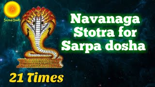 Navanaga Stotra for Sarpa dosha Nagadosha kalasarpa dosha nivarana mantraAnantham Vasukim 21 times [upl. by Aleetha458]