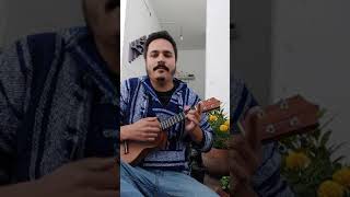 12th Street Rag  ukulele [upl. by Etnahsal]