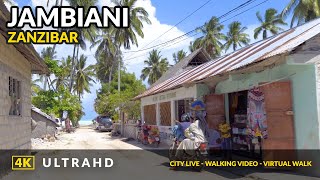 4K Walking tour Jambiani Village Beach Zanzibar 2021 virtual walks for treadmill [upl. by Nawuq]