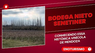 Nieto Senetiner  Uma Vinícola História em Mendoza [upl. by Orestes145]